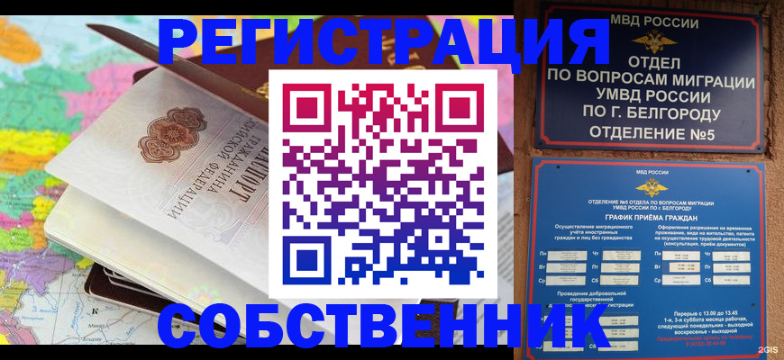 временная регистрация гарантия в Камчатском крае